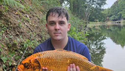 A carp from Linstant, Jul 2026