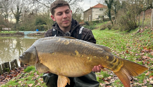 A carp from Linstant, Dec 2025