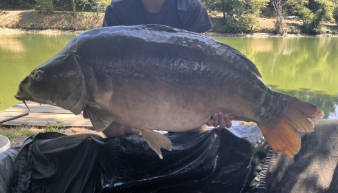 A carp from Linstant, Jul 2026