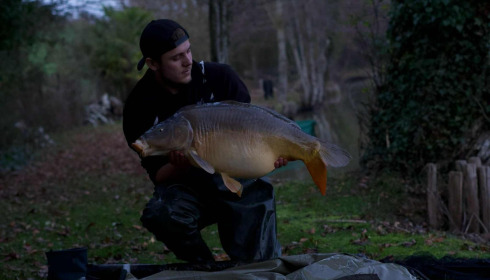 A carp from Linstant, Dec 2025