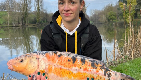 A carp from Linstant, Jan 2025