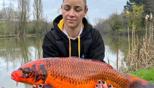 A carp from Linstant, Jan 2025