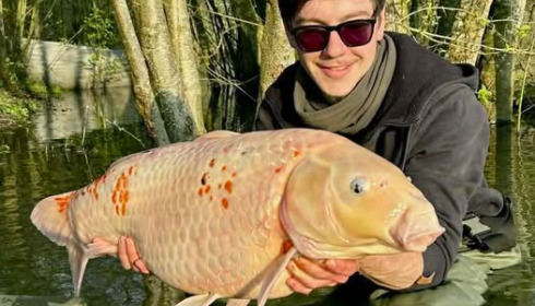 A carp from Emeraude, Mar 2026