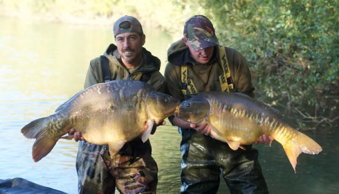 A carp from Emeraude, Oct 2025