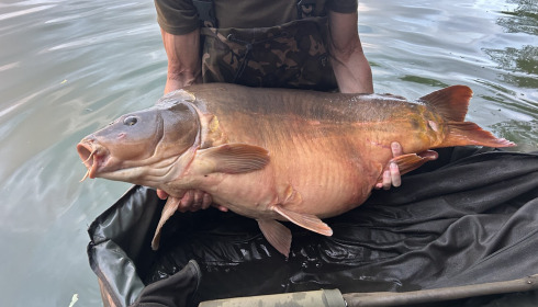 A 58 lb carp from Emeraude, Jul 2026