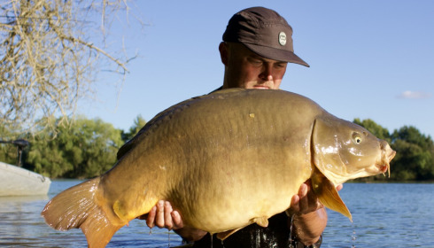 A carp from Emeraude, Aug 2026