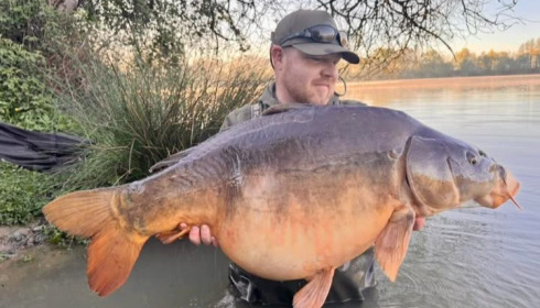 A carp from Emeraude, Apr 2026