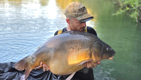 A carp from Emeraude, Aug 2026