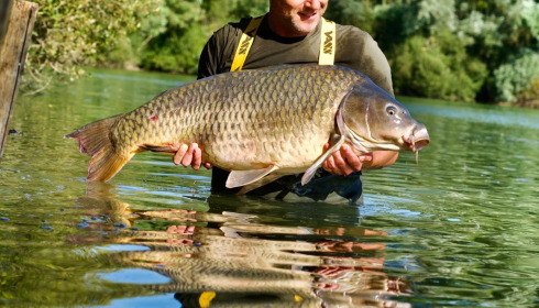 A 42 lb carp from Emeraude, Arturas. Swim 2., Aug 2026