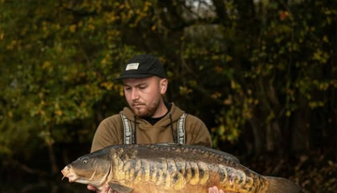 A carp from Emeraude, Nov 2025