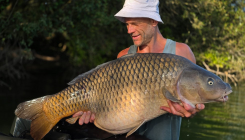 A carp from Emeraude, Aug 2026