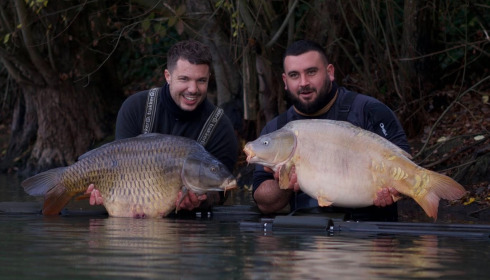 A carp from Emeraude, Nov 2025