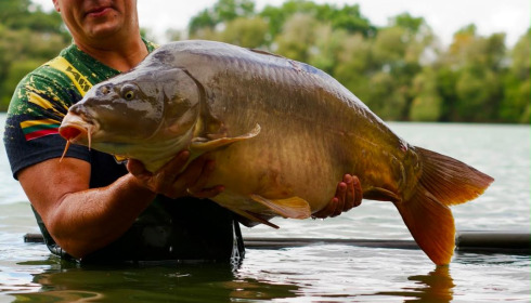 A 37 lb carp from Emeraude, Kestas. Swim1, Aug 2026