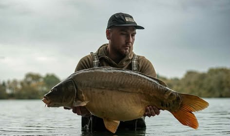 A carp from Emeraude, Nov 2025