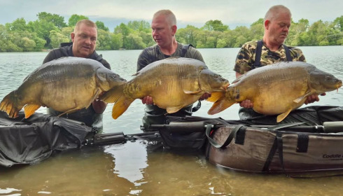 A carp from Emeraude, May 2026