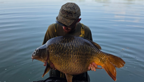 A carp from Emeraude, Aug 2026