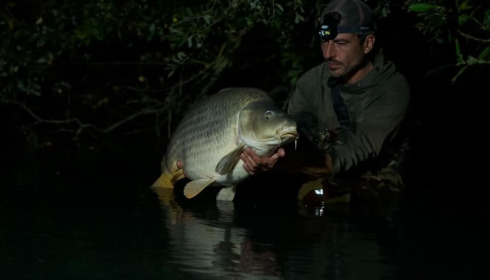 A carp from Emeraude, Oct 2025