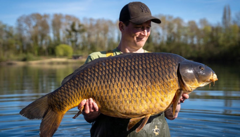 Gallery item 20