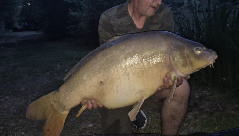 A 39 lb 2 oz carp from Bears Lake, Jul 2026
