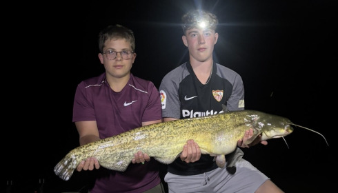 A catfish from Bears Lake, Catfish, Aug 2026