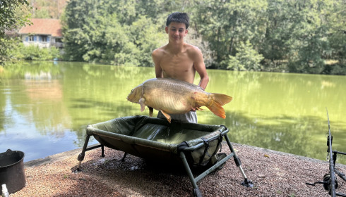 A 42 lb 2 oz carp from Bears Lake, Mirror carp 42lb, Aug 2026