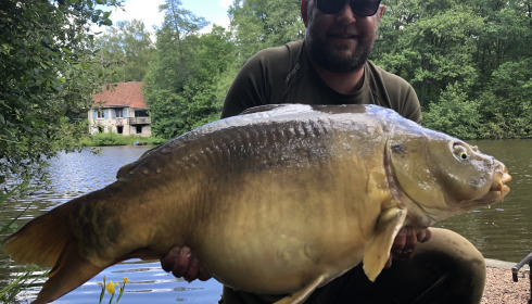 A carp from Bears Lake, May 2026