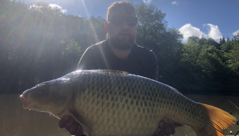 A carp from Bears Lake, May 2026