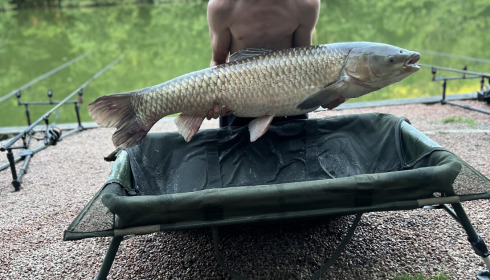 A 36 lb 3 oz grass carp from Bears Lake, Grass carp 36lb, Aug 2026