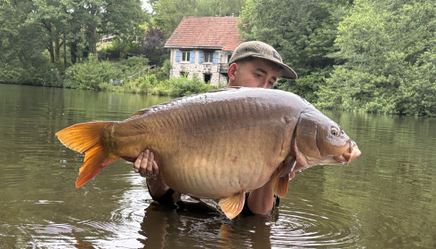 A 50 lb 8 oz carp from Bears Lake, 50.5lb Mirror, May 2026