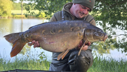A carp from Carrouge, May 2026