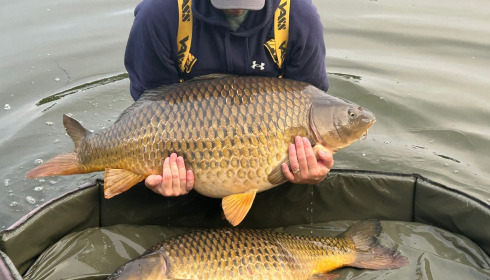 A carp from Carrouge, Jun 2026