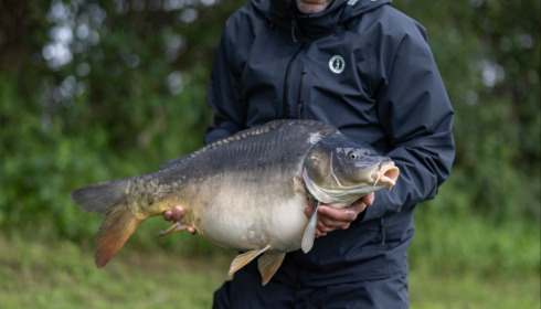 A carp from Carrouge, May 2026
