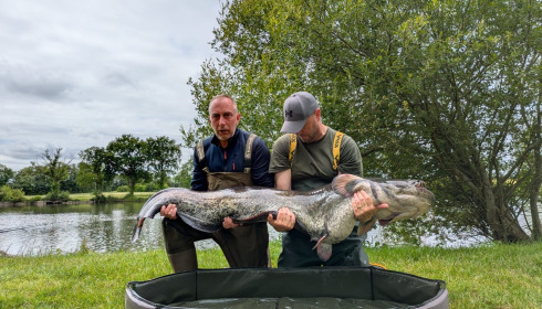 A carp from Carrouge, Jun 2026