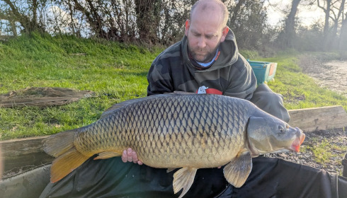 A carp from Carrouge, Mar 2026