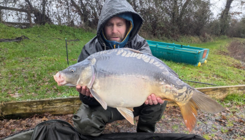A carp from Carrouge, Feb 2026
