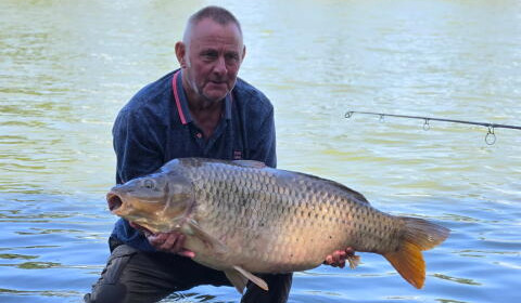 A carp from Carrouge, Jul 2026