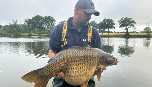 A carp from Carrouge, Jun 2026