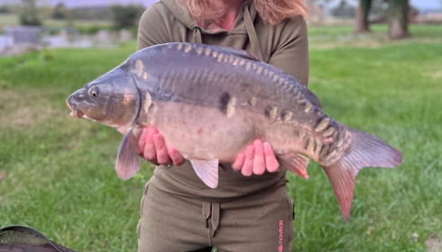A carp from Carrouge, Paul, Sep 2024