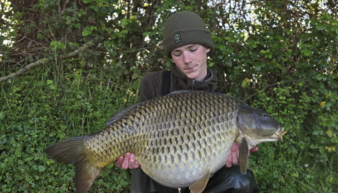 A carp from Carrouge, Apr 2026