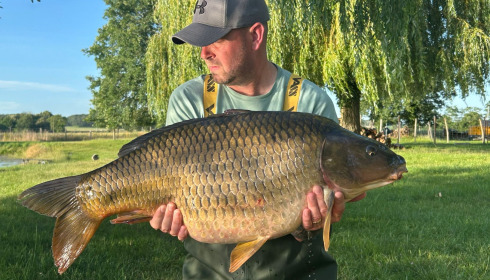 A carp from Carrouge, Jun 2026