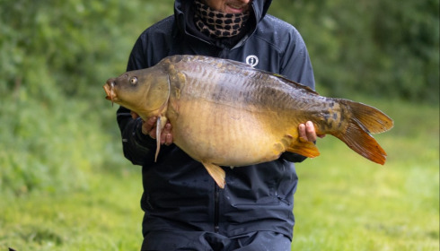 A carp from Carrouge, May 2026
