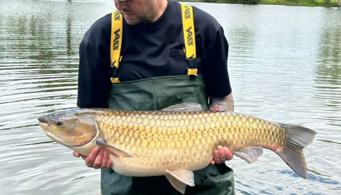 A carp from Carrouge, Jun 2026