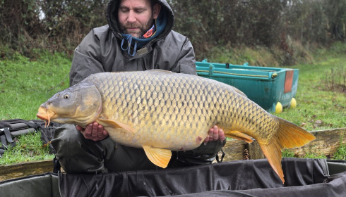 A carp from Carrouge, Feb 2026