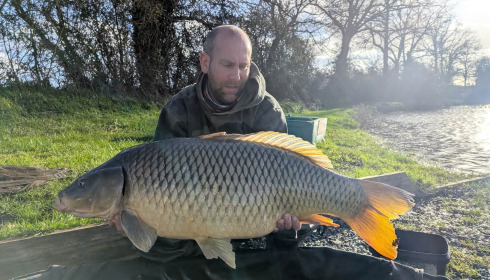 A carp from Carrouge, Mar 2026