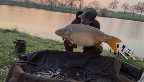 A carp from Carrouge, Mar 2026