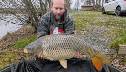 A carp from Carrouge, Jan 2026