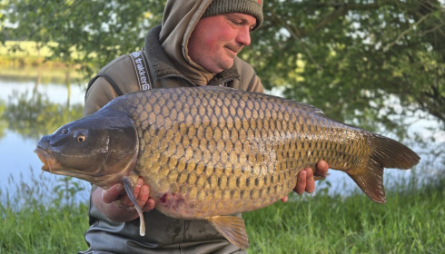 A carp from Carrouge, May 2026