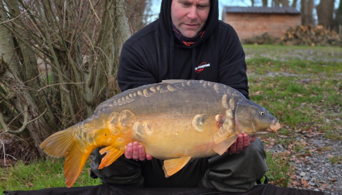 A carp from Carrouge, Maxence, Jan 2026