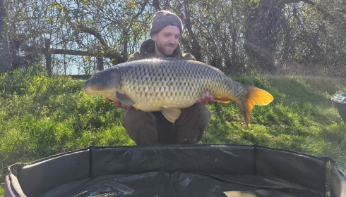A carp from Carrouge, Mar 2026