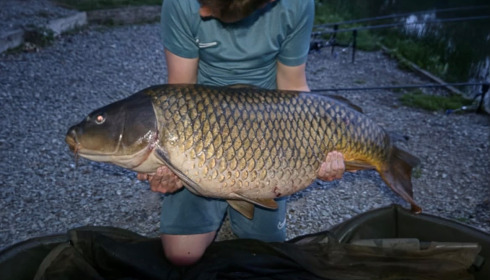 A 48 lb carp from Carrouge, new pb, May 2026
